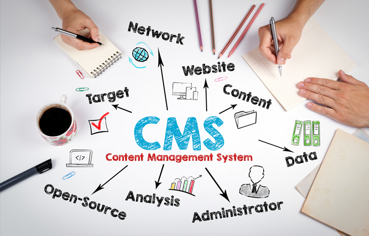 CMS Benefits for Businesses